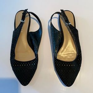 Black Flats